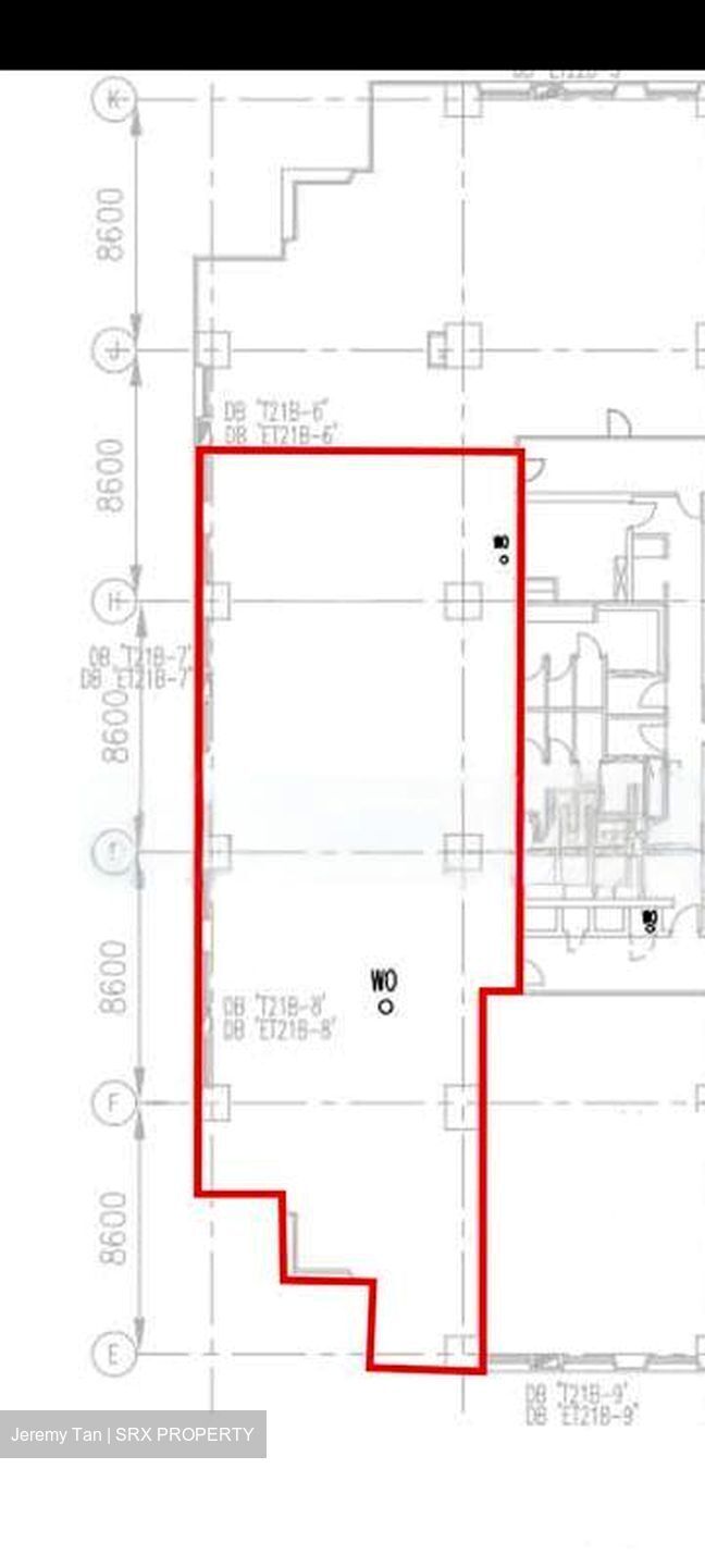 Ngee Ann City (D9), Office #487014881